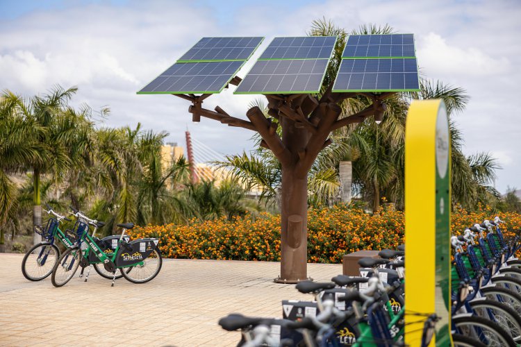 Seguimos avanzando: renovamos la certificación ISO 50001 y reforzamos nuestro compromiso con una energía más eficiente y sostenible